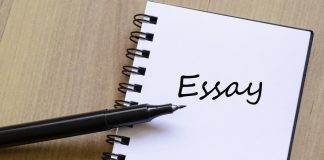 Things To Remember While Essay Writing